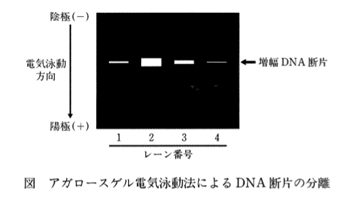 解説画像